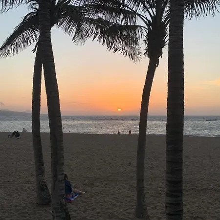 Palm Apartamento